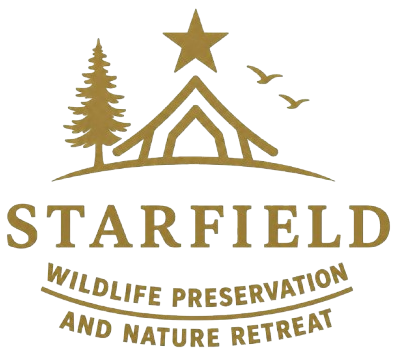 website-logo-png