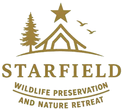 website-logo-png